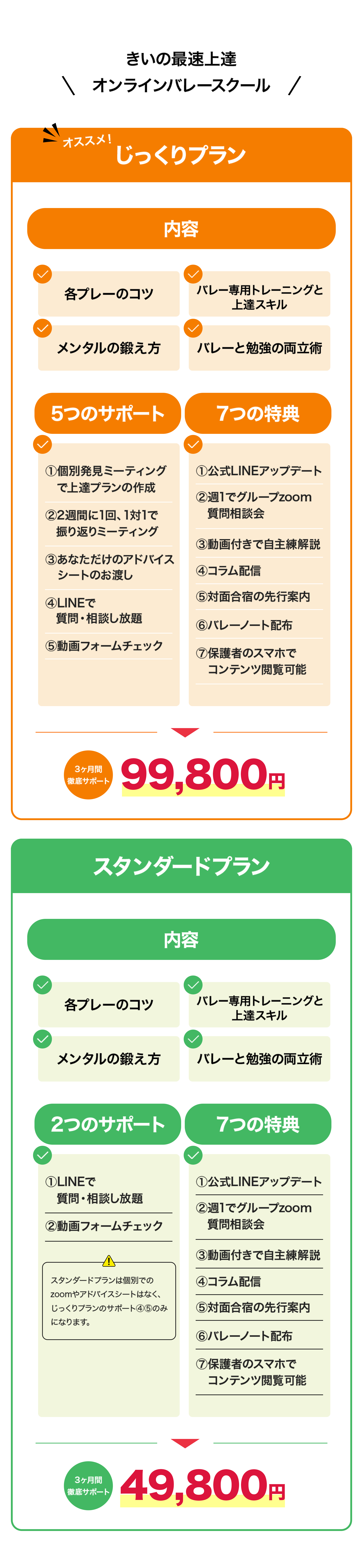 きいの最速上達オンラインバレーボールスクール じっくりプラン スタンダードプラン