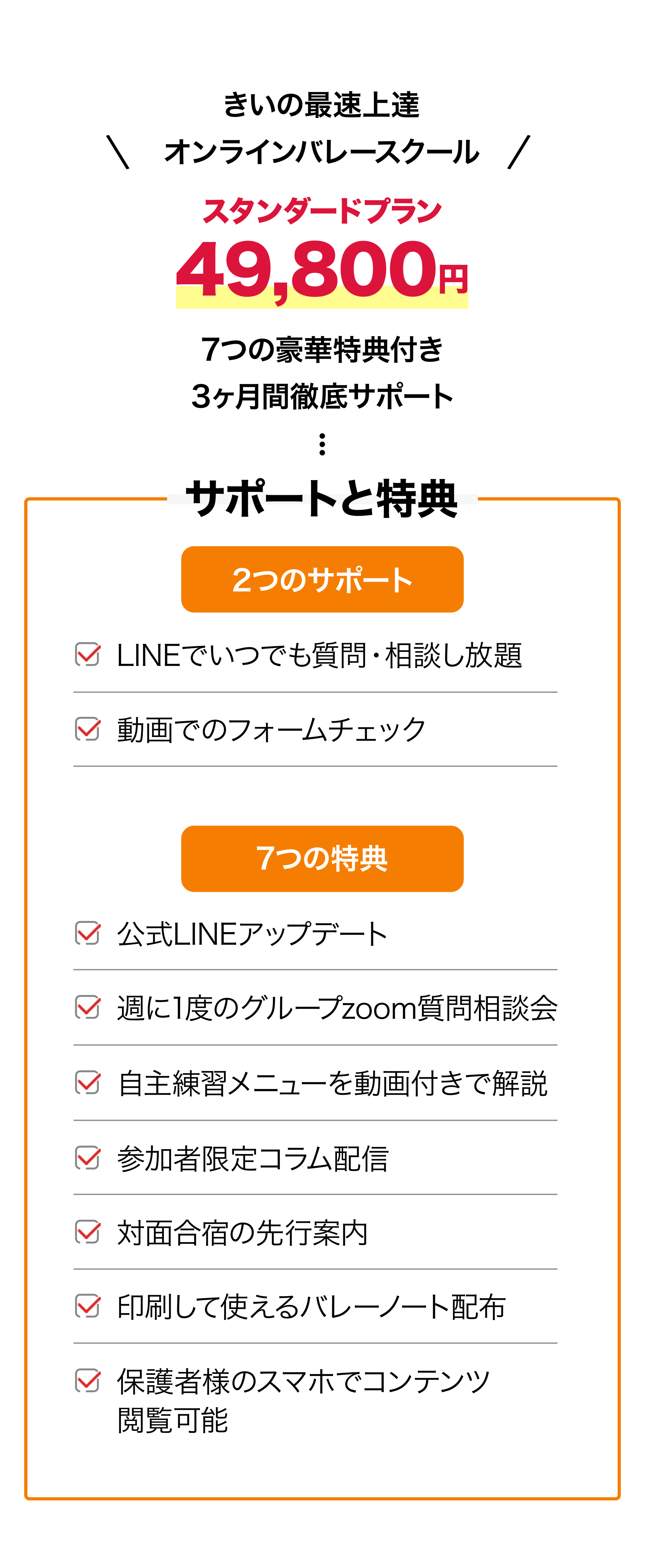 きいの最速上達オンラインバレーボールスクールスタンダードプラン 料金表